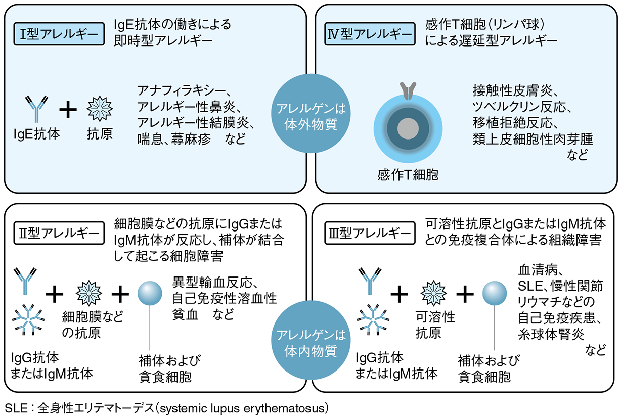 図2 - 1 　アレルギー反応の分類（GellとCoombs）