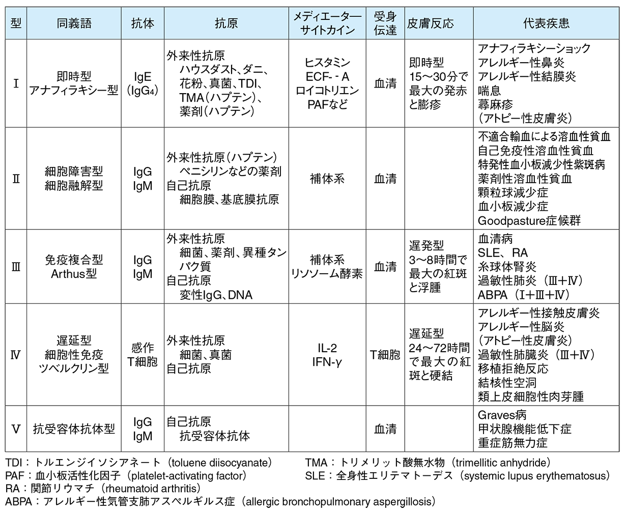 表2 - 1 　アレルギー反応の分類（GellとCoombs）