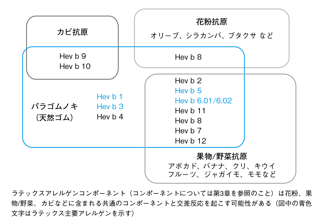 図8-1 ラテックスアレルゲンコンポーネントと交差反応を起こし得るアレルゲン